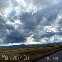 When Doves Cry (Prince cover)