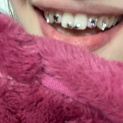 Plan Y 🎮 (warlord)