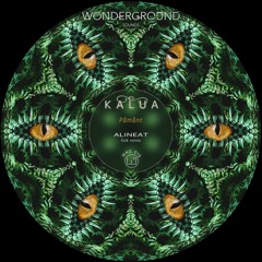 PREMIERE: Kalua - Pământ (Alineat Folk Remix)