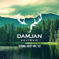 Damjan Vojtovic - Spring Deep Mix '23