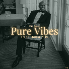 The Baron / Pure Vibes 014 / Deep House Mix