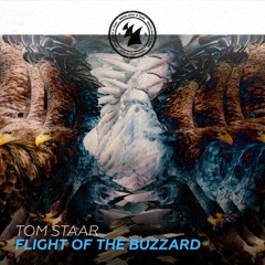 Flight of the Buzzard