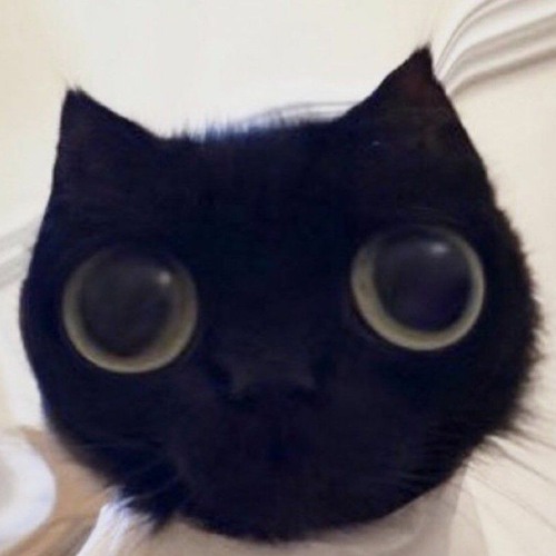 Zanta but Every Turn a Different Character Sings  FNF Zanta but Everyone Sings It