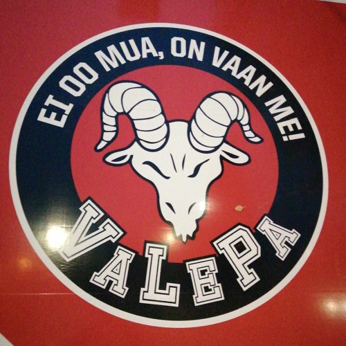 valepallo