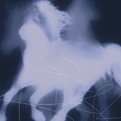 RIDER2