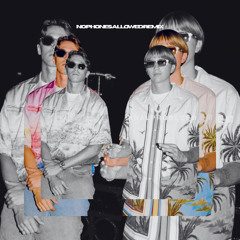 Antoon & Milolaathetlukken - Knalprobleem (No Phones Allowed Edit) [FREE DOWNLOAD]