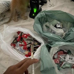 MTG - TROPA DO CEHAB