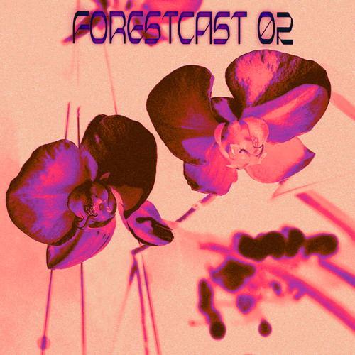 FORESTCAST 02 [Chachacharly]