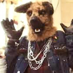 Bubblegum Dog (MGMT Cover)