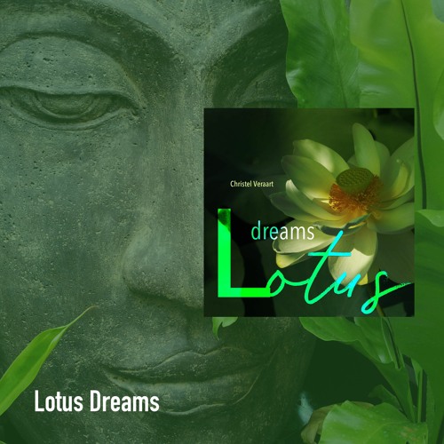 Lotus Dreams