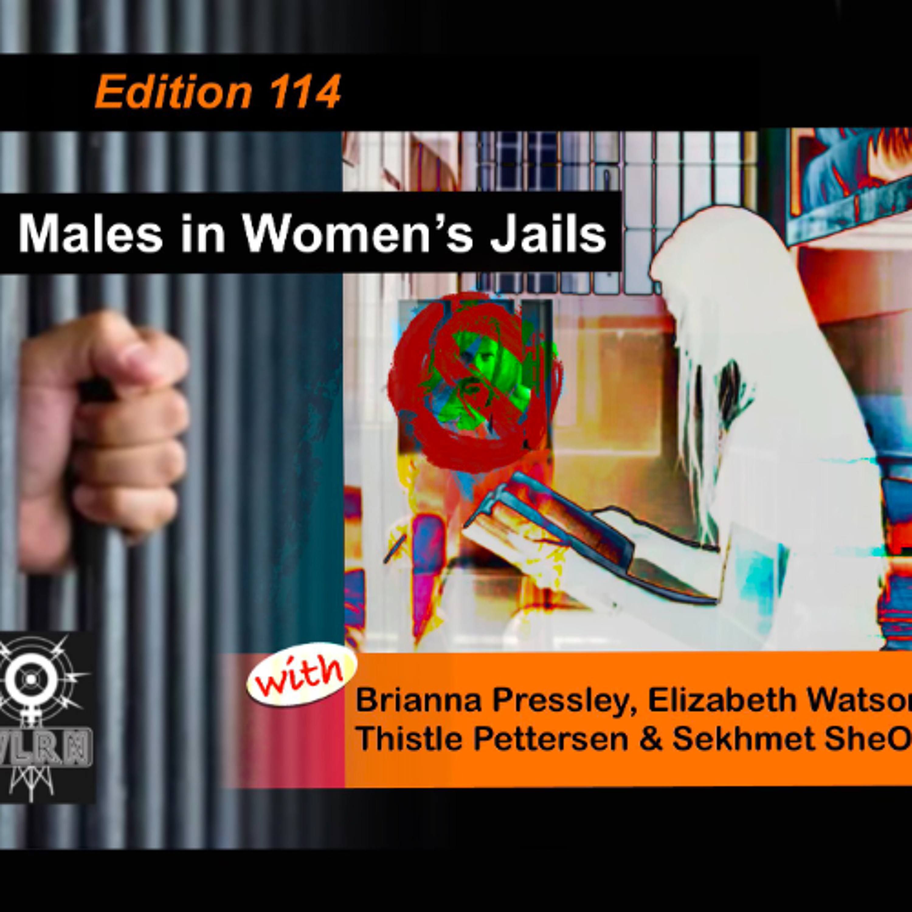 Edition 114: Males in Women's Jails with Brianna Pressley, Elizabeth Watson, Thistle Pettersen & Sekhmet SheOwl