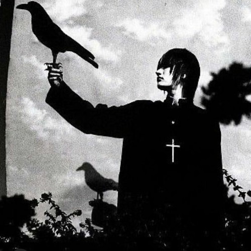 odei - counter [ +dani]