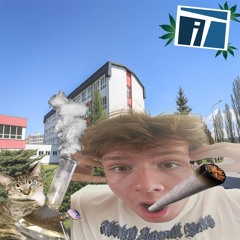 SKOLA VOLA