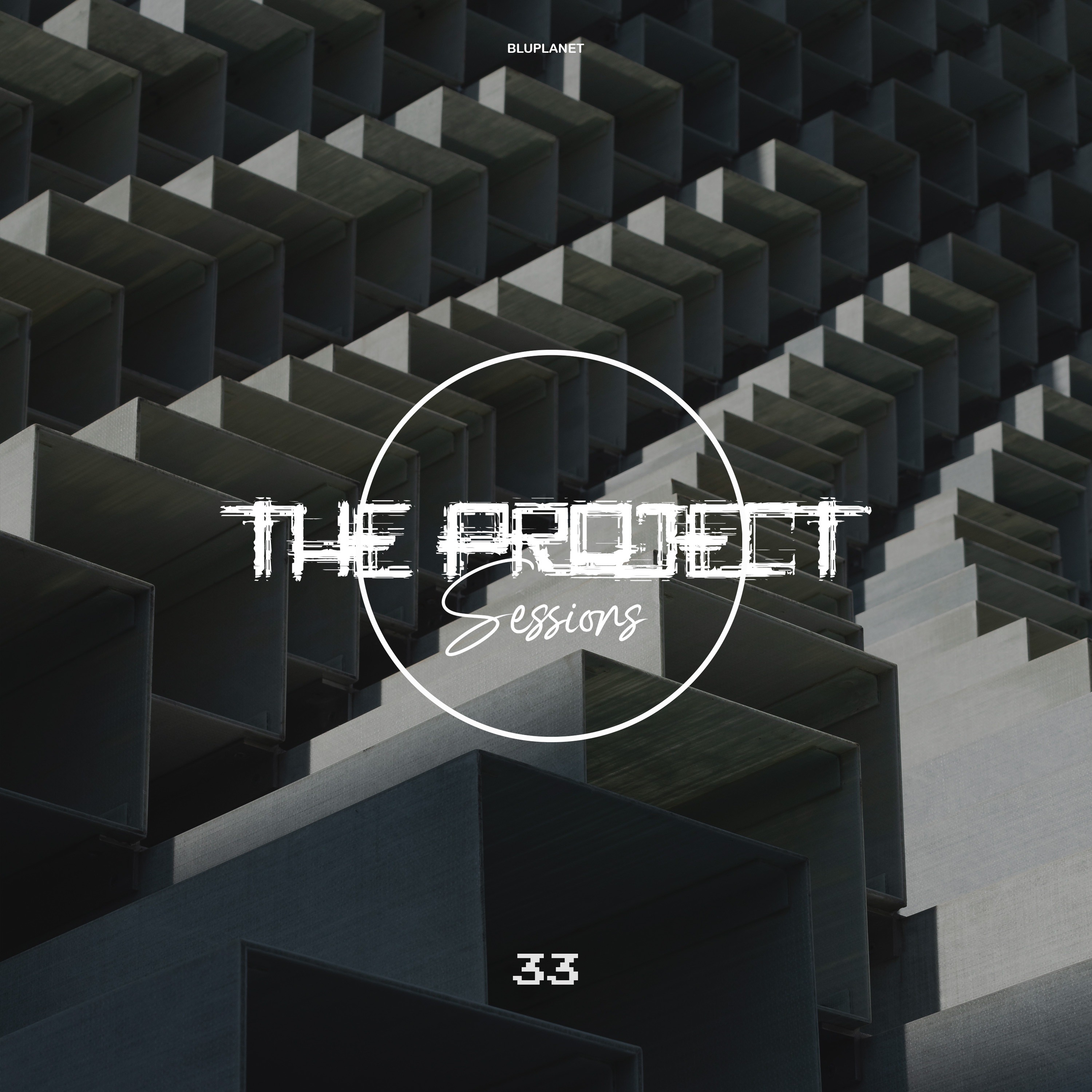 The Project Sessions