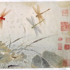 OUT THE CAGE PROD. HD