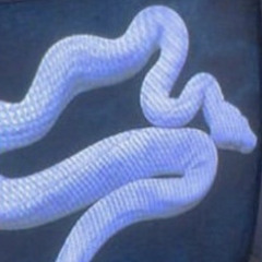 Diamond Day (feat. Meggo the Kidd) {prod​.​Mokshadripp}