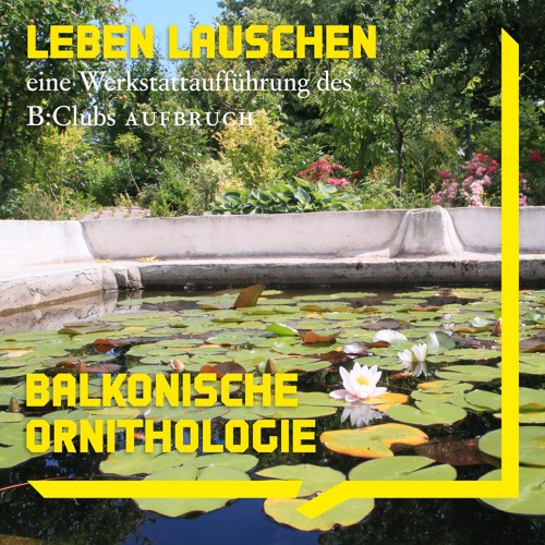 07 Balkonische Ornithologie | Audiowalk B:Club Aufbruch LEBEN LAUSCHEN