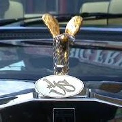 Sainté - Organic Growth