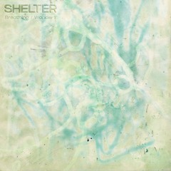 CN006 - Shelter - Breathing / Wonderz (10")