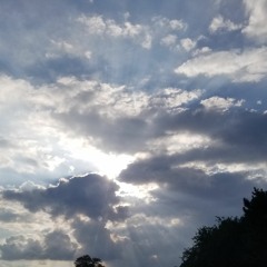 "Under The Milky Way" (cover).mp3