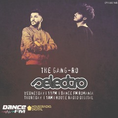 Selectro Podcast #146 w/ The Gang