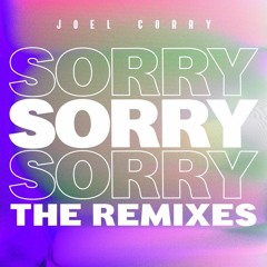 Joel Correy Sorry - Rawkey Nu Disco Edit