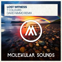 Lost Witness - 7 Colours (David Nimmo Remix)