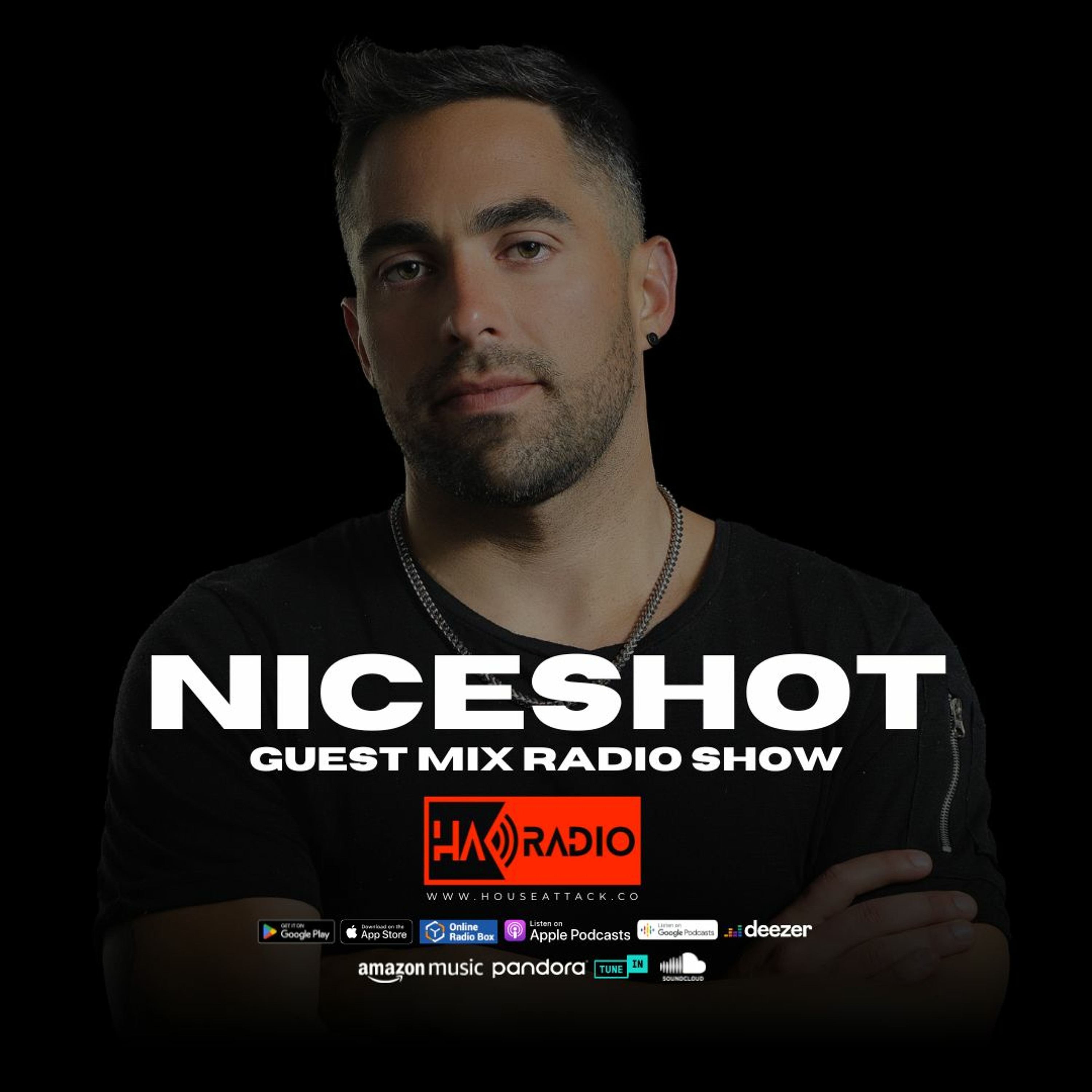 Guest Mix Radio Show 176th - NICESHOT (ARG) episode artwork