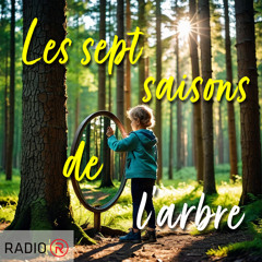 Les sept saisons de l'arbre: Le tronc et l'écorce