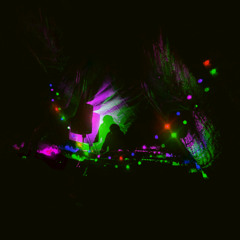 Echoes Of The Forest - 21/06/25