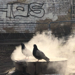 Tóxin @ Beat cult at Killing Time [18.04.25]