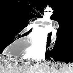 Lost Wood's - funk remix (super slowed + looped)