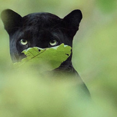 Instrumental Vibez 3