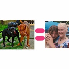 Nobody Puts Baby Gay In The Corner