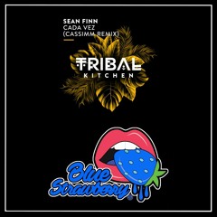 Sean Finn & CASSIMM - Cada Vez (CASSIMM Extended Remix)