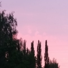 SKUCHAU