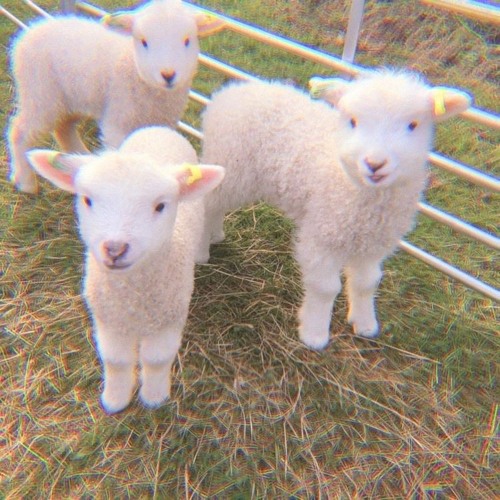 cloud walking (prod. blackwinterwells)