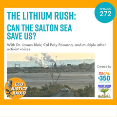 The Lithium Rush: Can the Salton Sea Save Us?