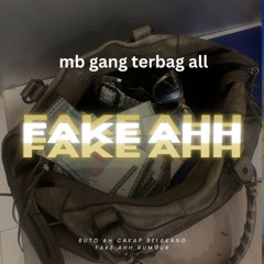Fake Ahh bih