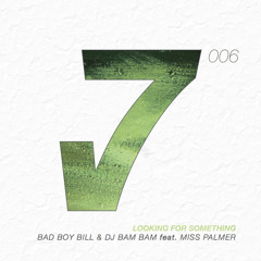 Looking for Something (Radio Edit) [feat. Miss Palmer]