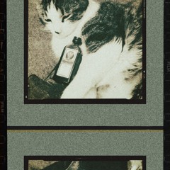 Meister Shots 🇳🇦