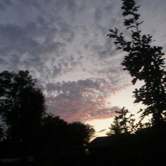 sky's love