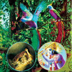 Beyond Fire and Steel