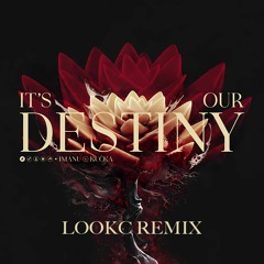 IMANU - It's Our Destiny (lookc remix)