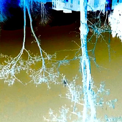 pretty when u cry [P+ scarlet]