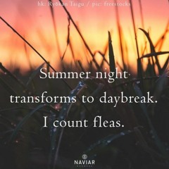 Night Transforms To Daybreak [NaviarHaiku479]