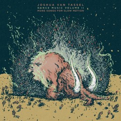 TRACK PREMIERE : Joshua Van Tassel - Eternal Turtle