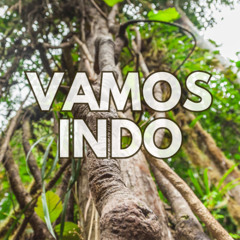 DJRonin & Gloria Zucchelli • Vamos Indo Live freestyle