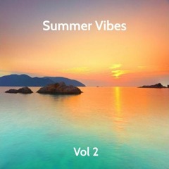 Summer Vibes Chillout Mix Vol 2 | Chill, Tropical, & Relaxing House | 25 Minute Mix