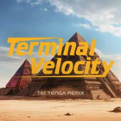 Terminal velocity - Tei Tenga (NU remake)